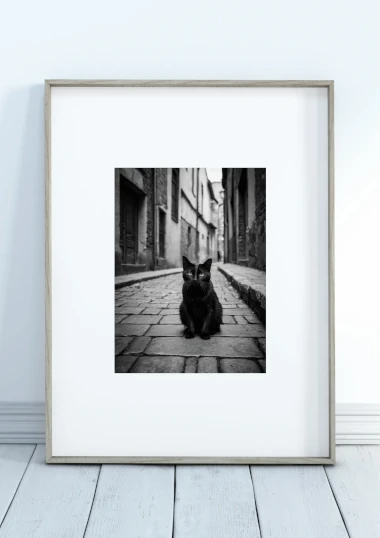 Enigmatic Black Cat Fine Art Print