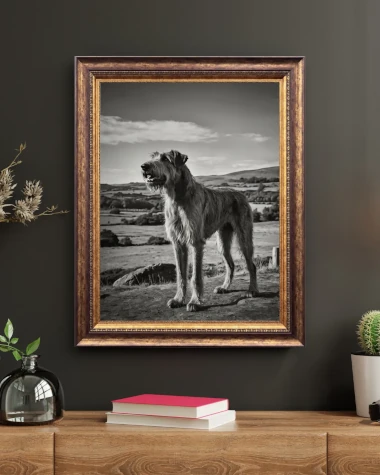 Irish Wolfhound in Scenic Landscape